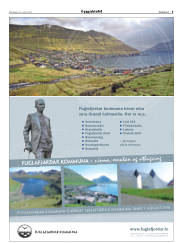 Síða 5