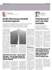 Síða 11