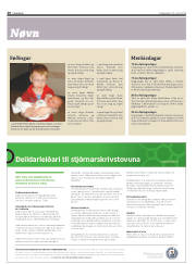 Síða 20