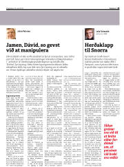 Síða 25