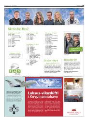Síða 43