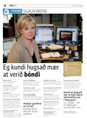 Síða 8