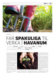 Síða 17