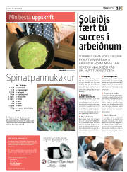 Síða 19