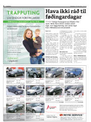 Síða 6