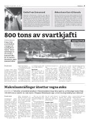 Síða 9
