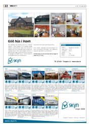 Síða 22