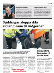 Síða 31