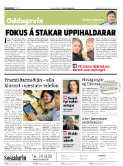 Síða 2
