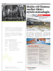 Síða 8