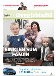 Síða 17