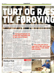 Síða 28