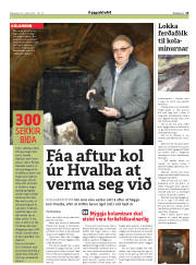 Síða 31