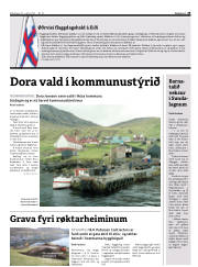 Síða 41