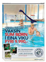 Síða 31