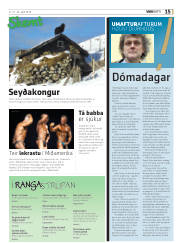 Síða 15