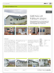 Síða 21