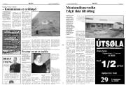 Síða 3