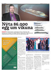 Síða 8