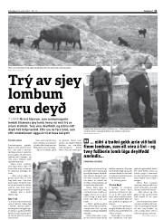 Síða 11