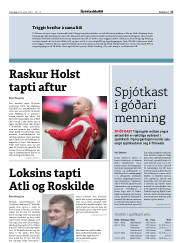 Síða 17