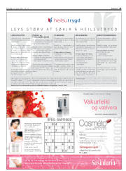Síða 29