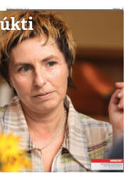 Síða 7