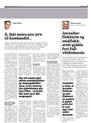 Síða 13