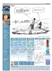 Síða 39
