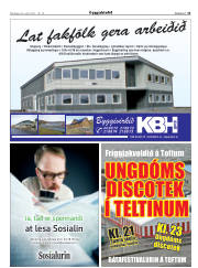 Síða 29