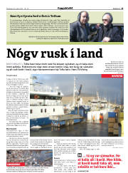 Síða 31