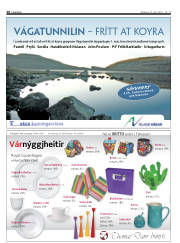 Síða 20