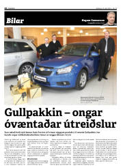 Síða 24