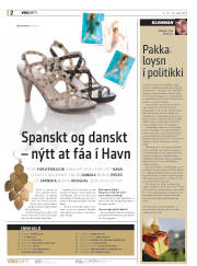 Síða 2