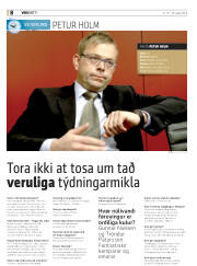 Síða 8