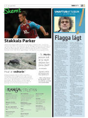 Síða 15