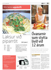 Síða 19