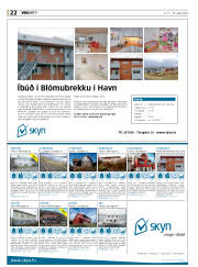 Síða 22