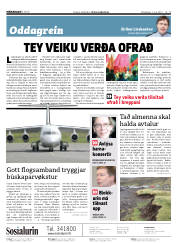 Síða 2