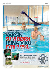 Síða 7