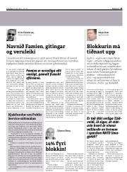 Síða 13