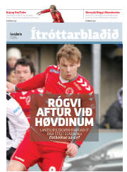 Síða 17