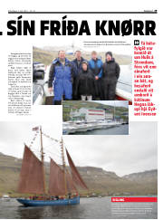Síða 29