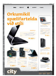 Síða 3