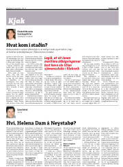 Síða 23