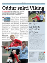 Síða 29
