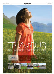 Síða 3