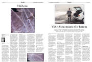 Síða 12