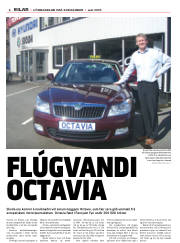 Síða 6