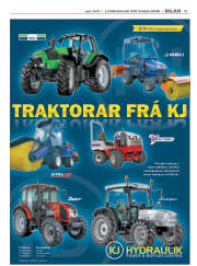 Síða 13